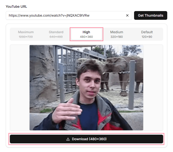 Download the thumbnail by clicking the 'Download Thumbnail' button